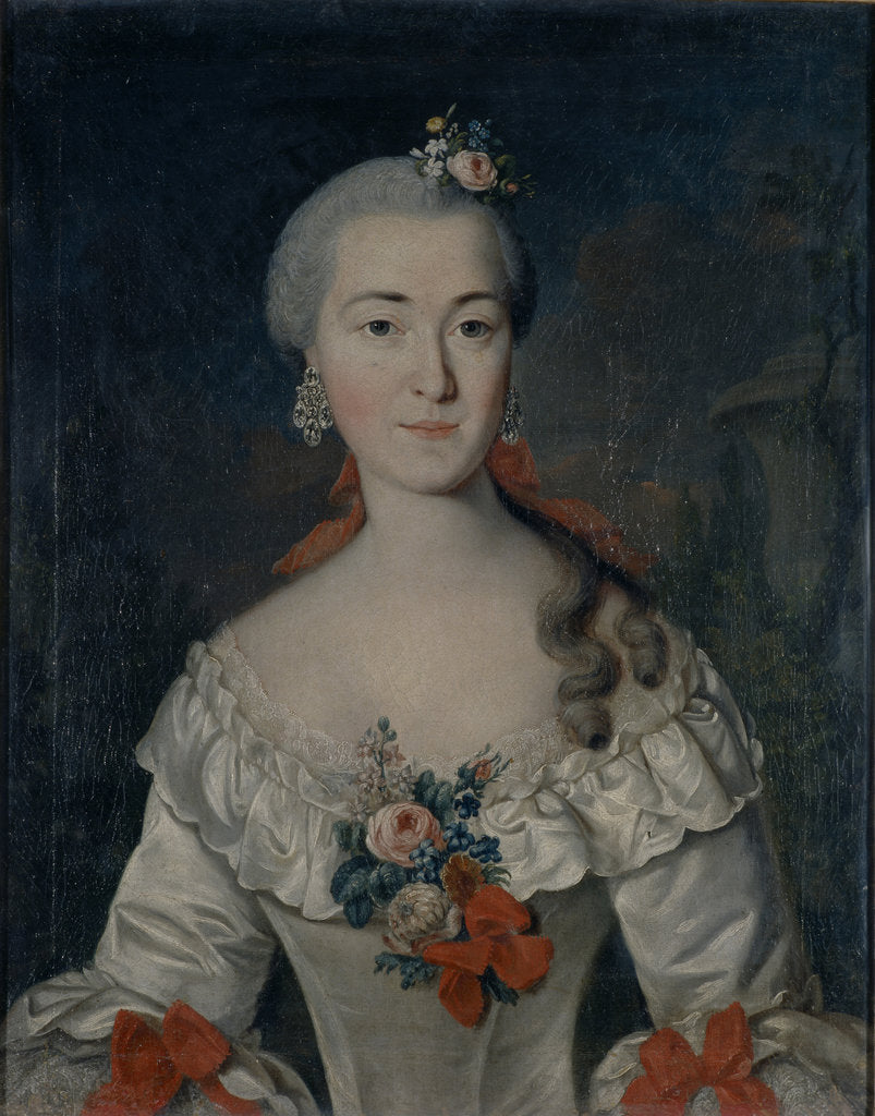 Detail of Portrait of Maria Ivanovna Tatishcheva, 1759 by David Lueders