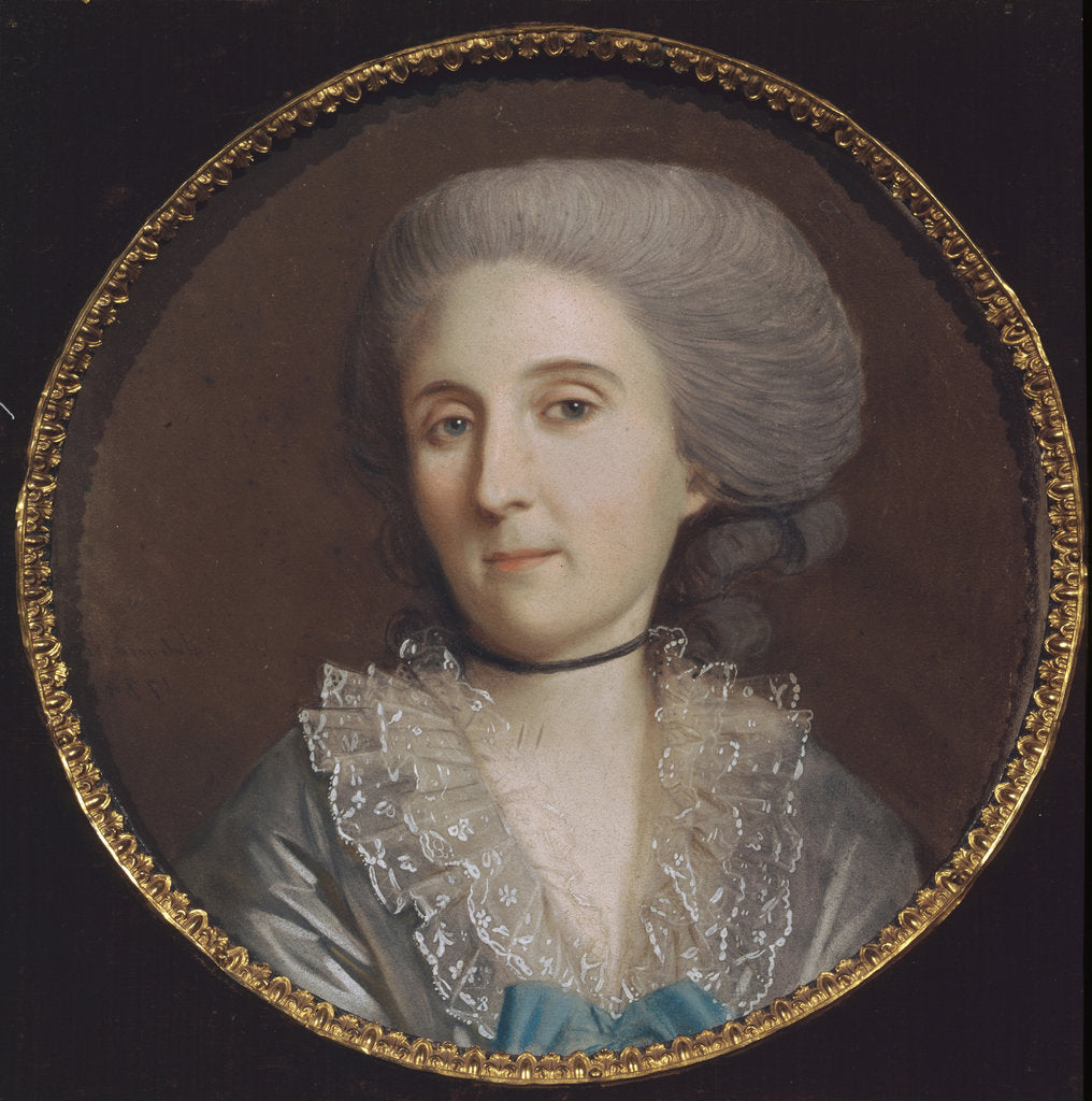 Portrait of Princess Natalya Vladimirovna Saltykova, 1784 by Johann Heinrich Schmidt