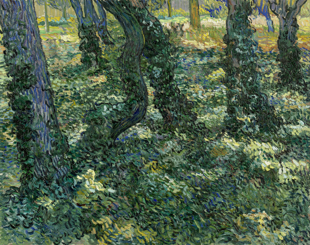Detail of Undergrowth, 1889 by Vincent van Gogh