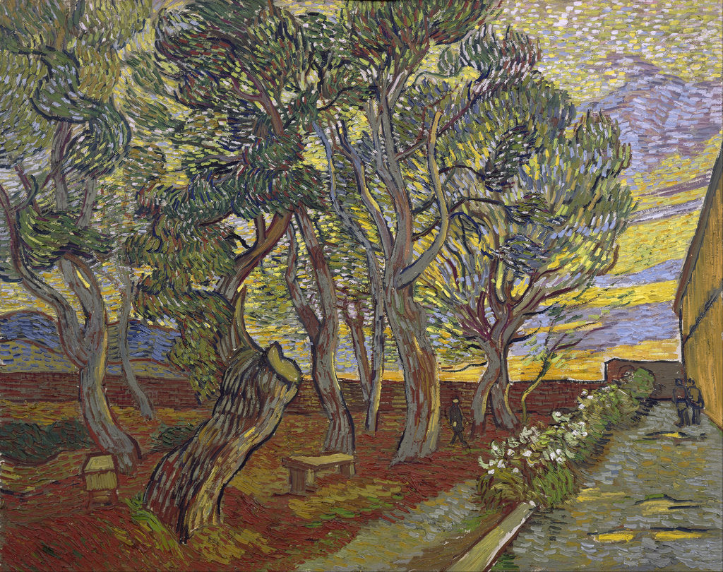 The garden of Saint Pauls Hospital, 1889 by Vincent van Gogh