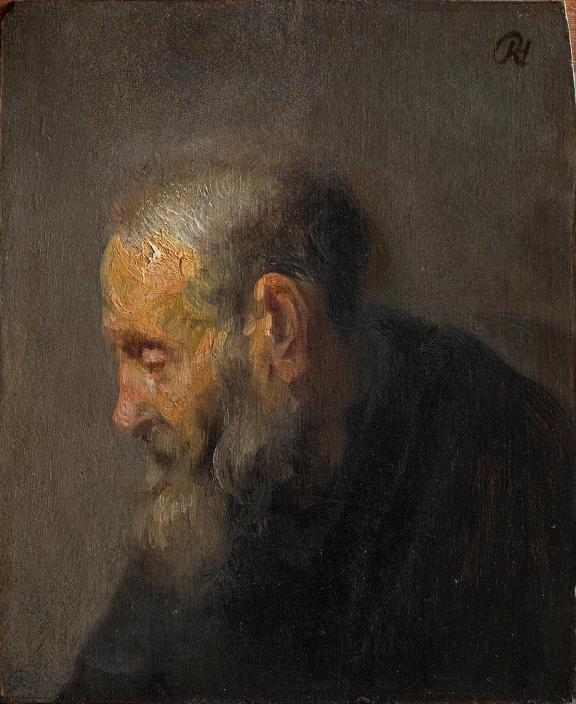 Detail of Study of an Old Man in Profile, c.1630 by Rembrandt van Rhijn