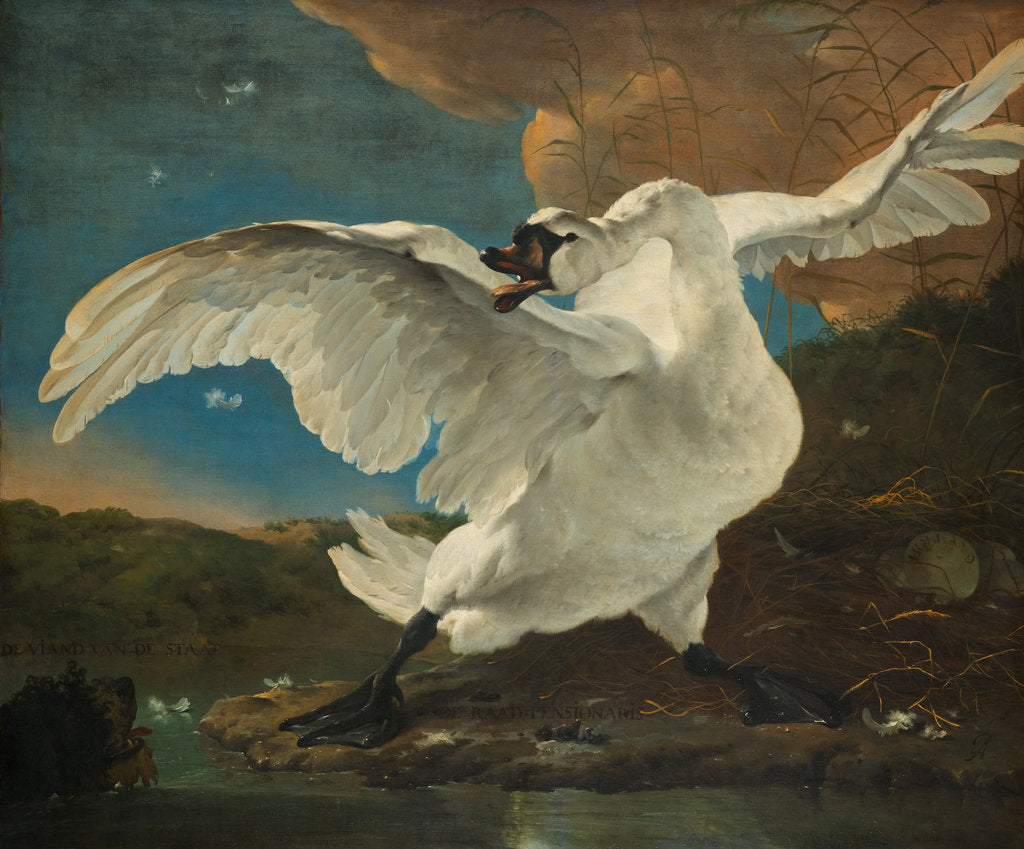 Detail of The Threatened Swan, before 1652 by Jan Asselijn