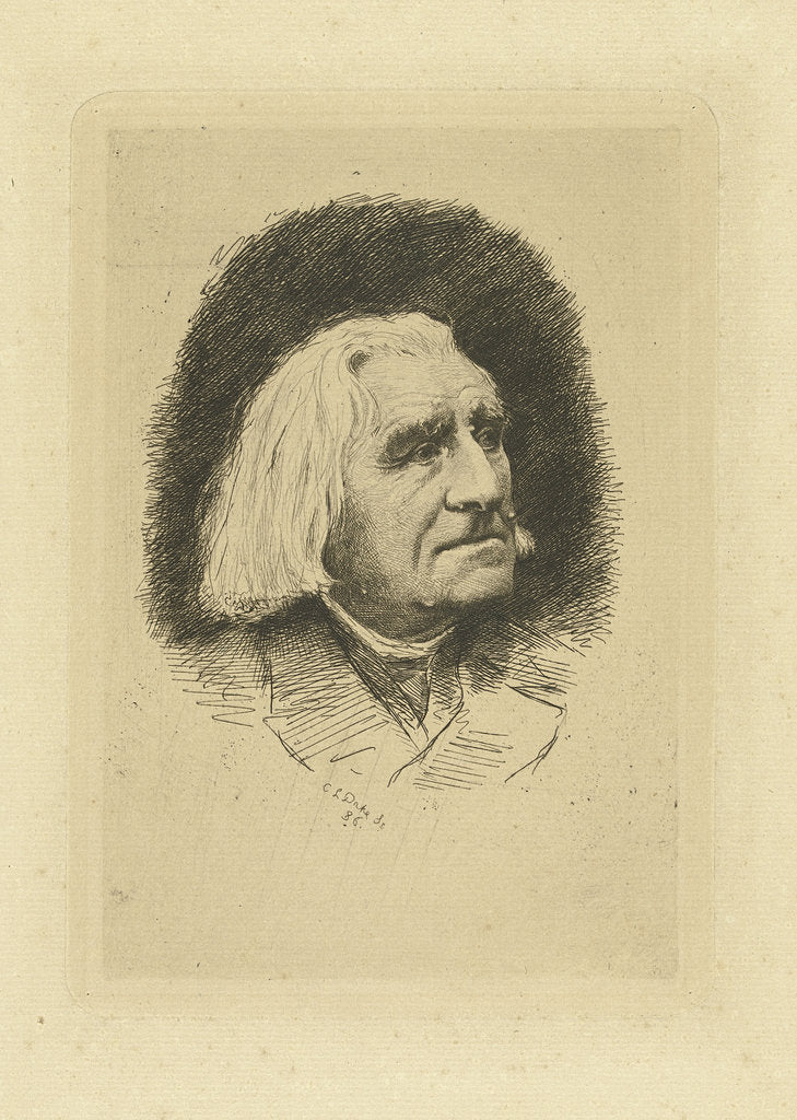 Detail of Portrait of the Composer Franz Liszt, 1886 by Carel Lodewijk Dake