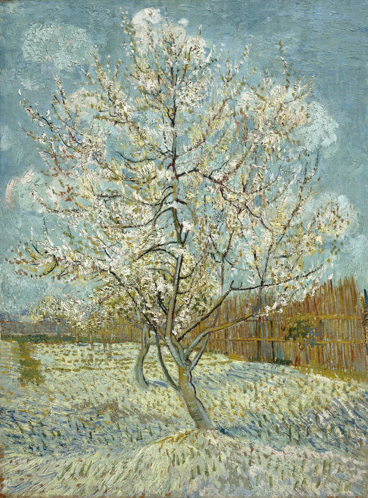 Detail of The pink peach tree, 1888 by Vincent van Gogh