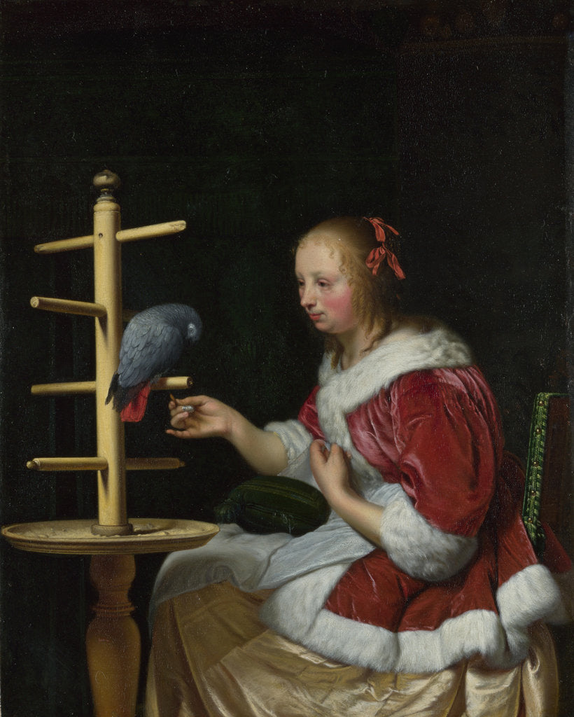 Detail of A Woman in a Red Jacket feeding a Parrot, ca 1663 by Frans van Mieris the Elder