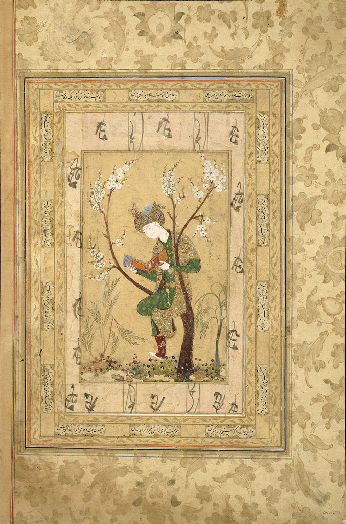 Detail of Youth Seated in the Fork of a Blossoming Tree, 1560s by Iranian master