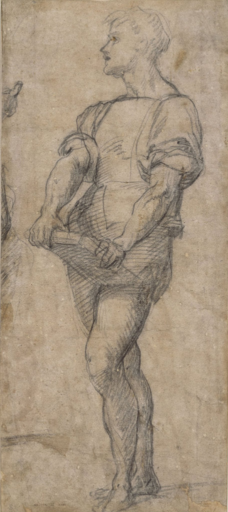 Detail of Standing youth holding a book, ca 1515 by Andrea del Sarto