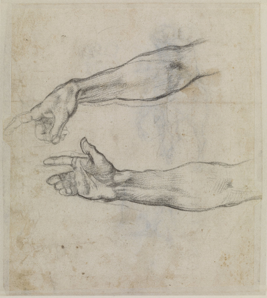 Detail of Studies of an outstretched arm for the fresco The Drunkenness of Noah, c.1508 by Michelangelo Buonarroti