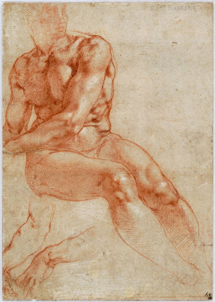 Detail of Seated Young Male Nude and Two Arm Studies by Michelangelo Buonarroti