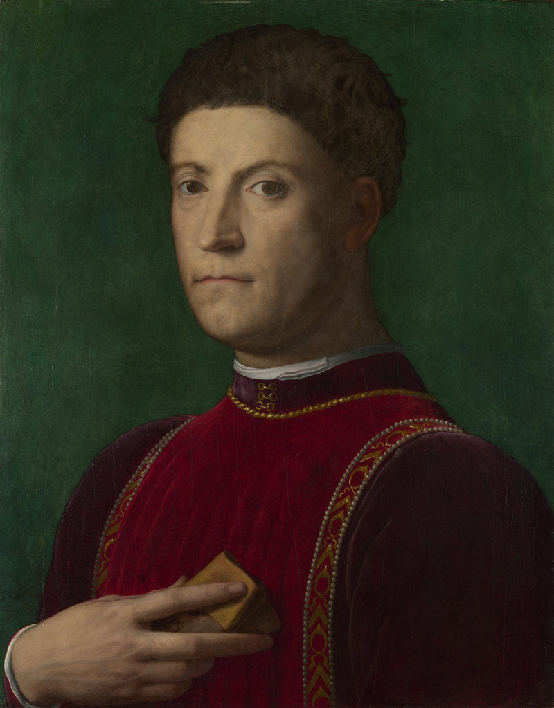 Detail of Portrait of Piero de Medici (The Gouty), ca 1550-1565 by Agnolo Bronzino