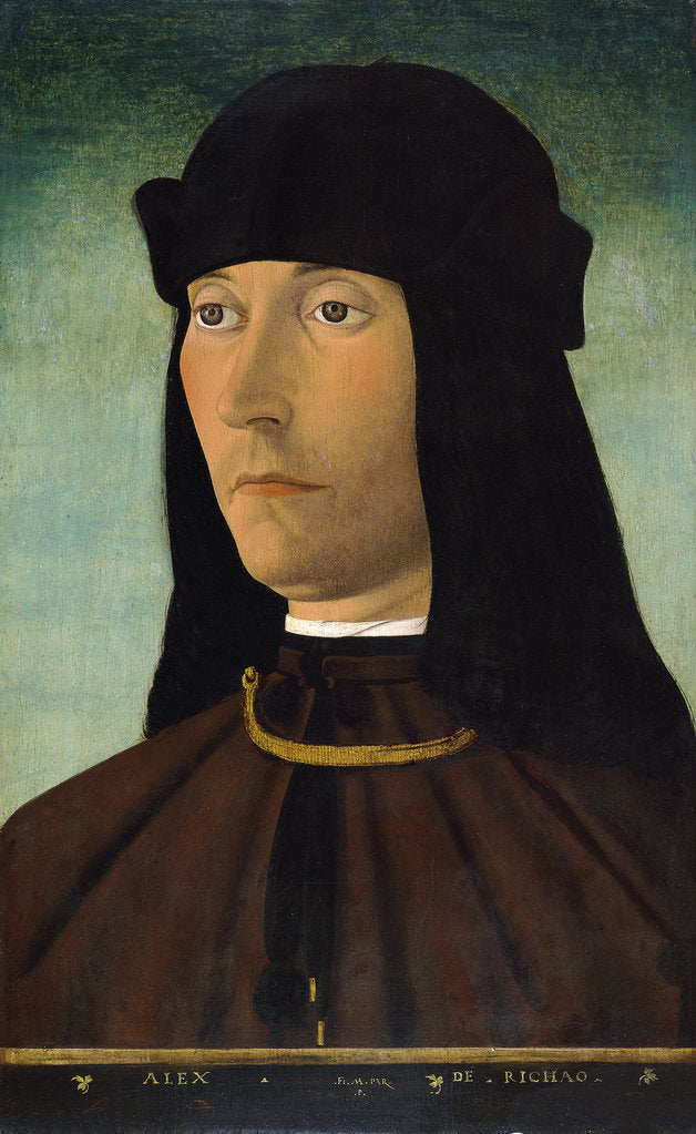 Detail of Portrait of Alessandro de Richao, after 1491 by Filippo Mazzola