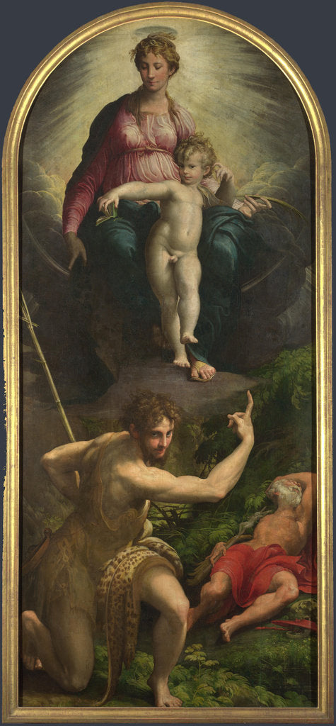 Detail of The Madonna and Child with Saints John the Baptist and Jerome, 1527 by Parmigianino