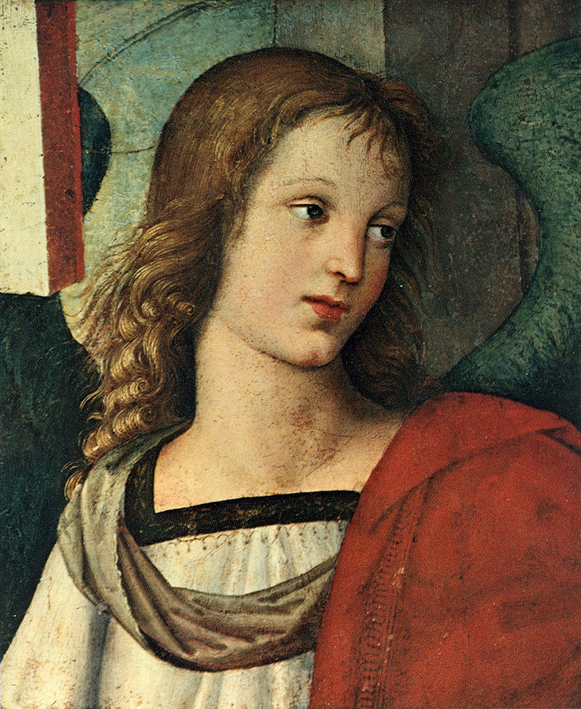 Detail of Head of an Angel, c. 1500 by Raphael