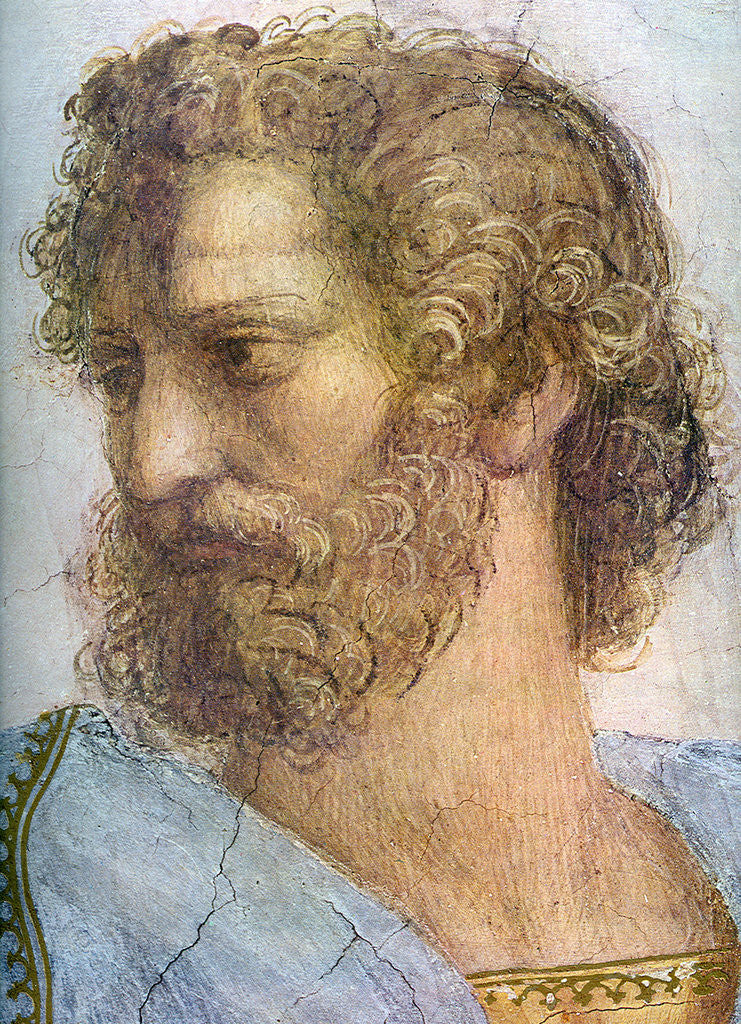 Detail of Aristotle. Stanza della Segnatura. The School of Athens (Detail) by Raphael
