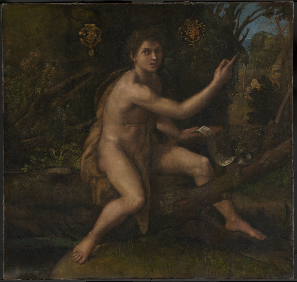Detail of Saint John the Baptist, 1519 by Raphael