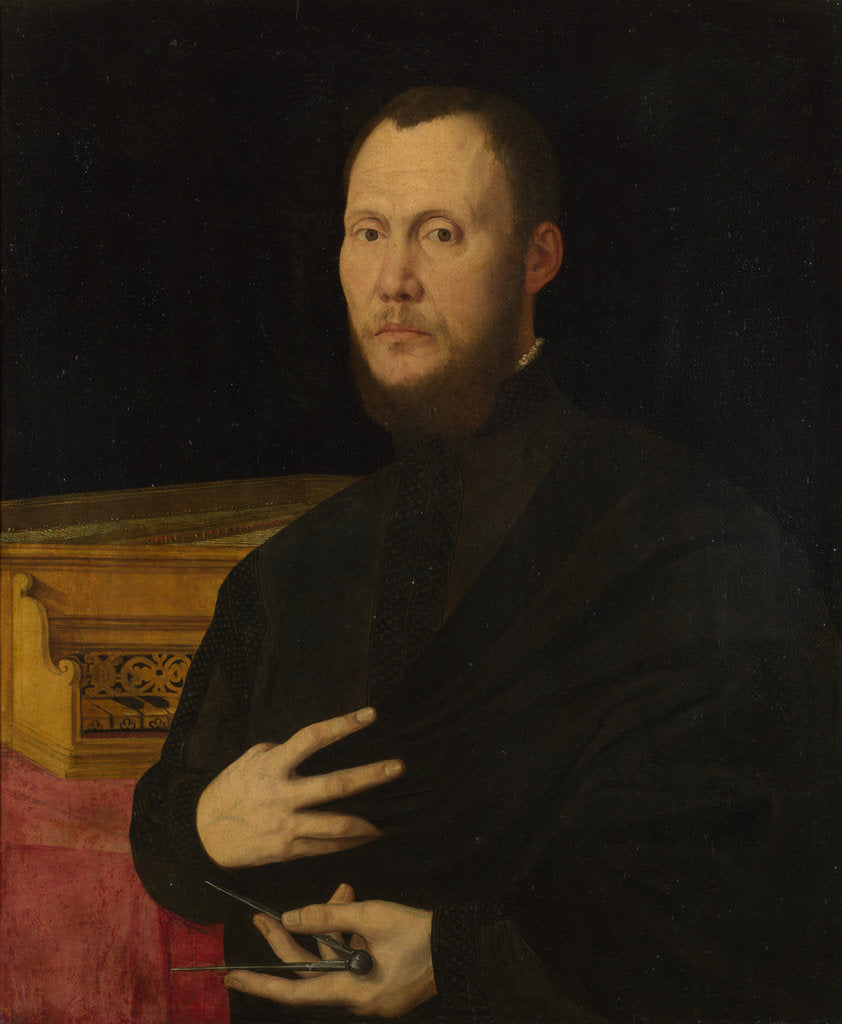 Detail of Portrait of a Musician, c. 1565 by Bernardino Campi