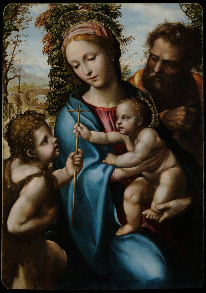 Detail of The Holy Family with John the Baptist as a Boy, 1525-1528 by Sodoma