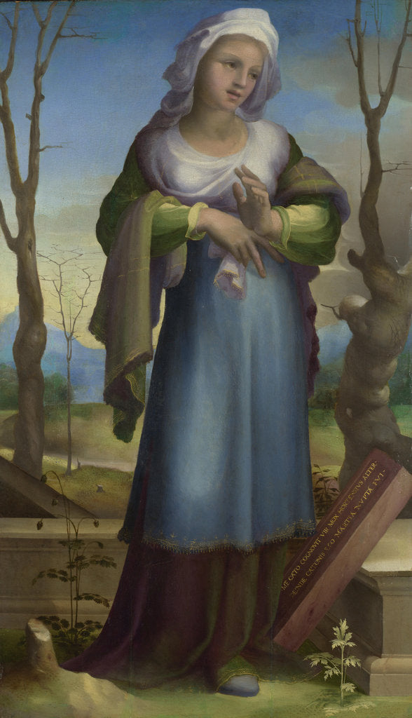 Detail of Marcia, c. 1519 by Domenico Beccafumi