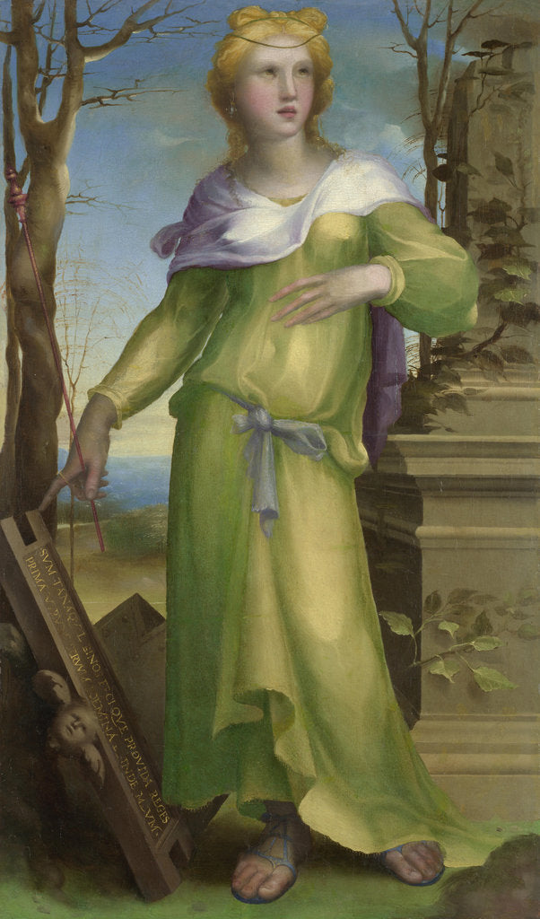 Detail of Tanaquil, c. 1519 by Domenico Beccafumi