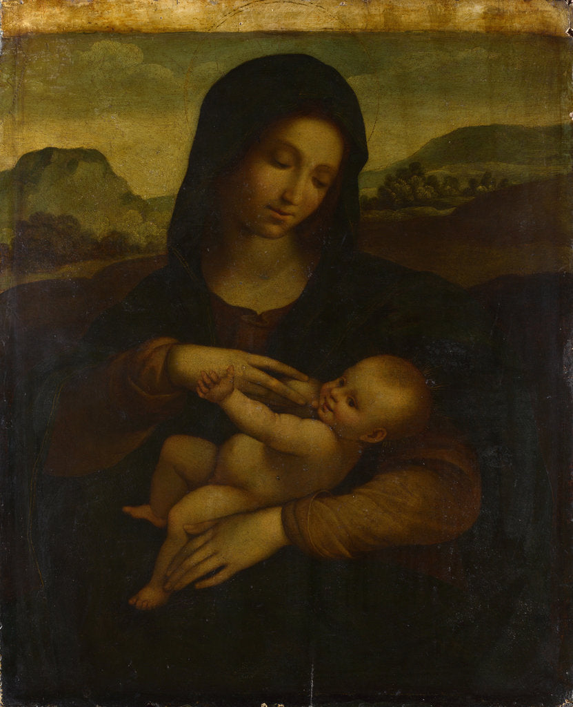Detail of The Madonna and Child, c. 1520 by Sodoma