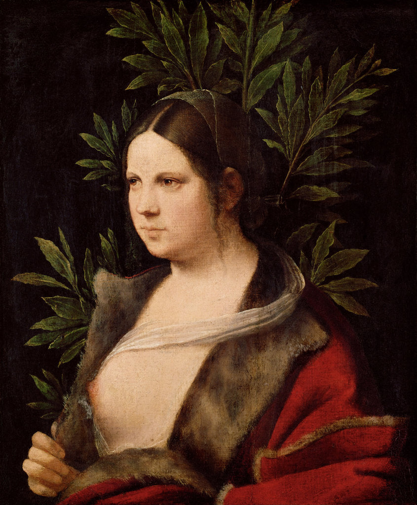 Detail of Young Woman (Laura), 1506 by Giorgione