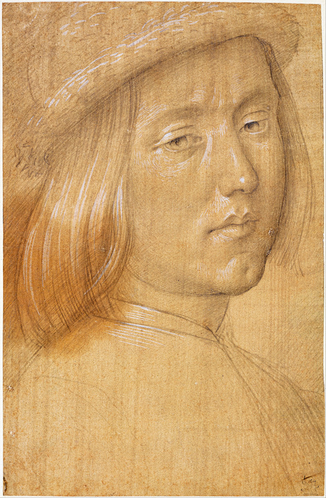 Detail of Head of a Youth by Lorenzo di Credi