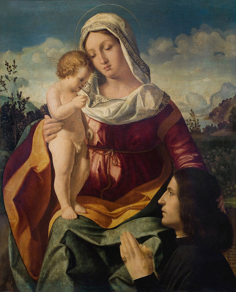 Detail of Virgin and child with a Donor, 1504 by Andrea Previtali