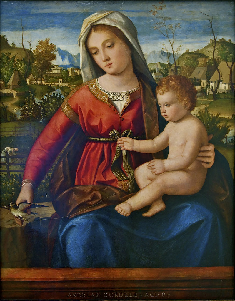 Detail of Virgin and Child by Andrea Previtali