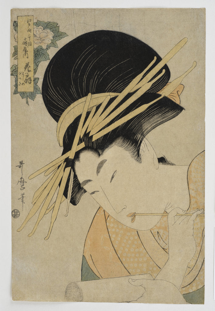 Detail of Courtesan Hanaogi of the Ogiya House, 1801 by Kitagawa Utamaro