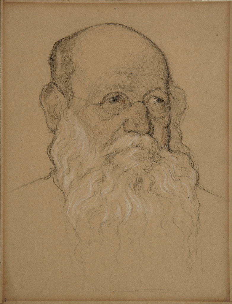 Detail of Portrait of the Revolutionary Count Pyotr A. Kropotkin, 1920-1921 by Nikolai Andreevich Andreev