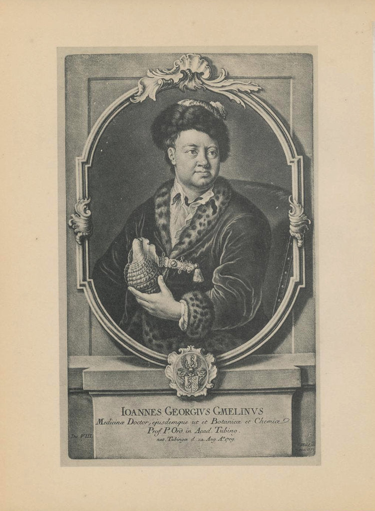 Portrait of the naturalist, botanist and geographer Johann Georg Gmelin, Mid of the 18th cen by Johann Jacob Haid