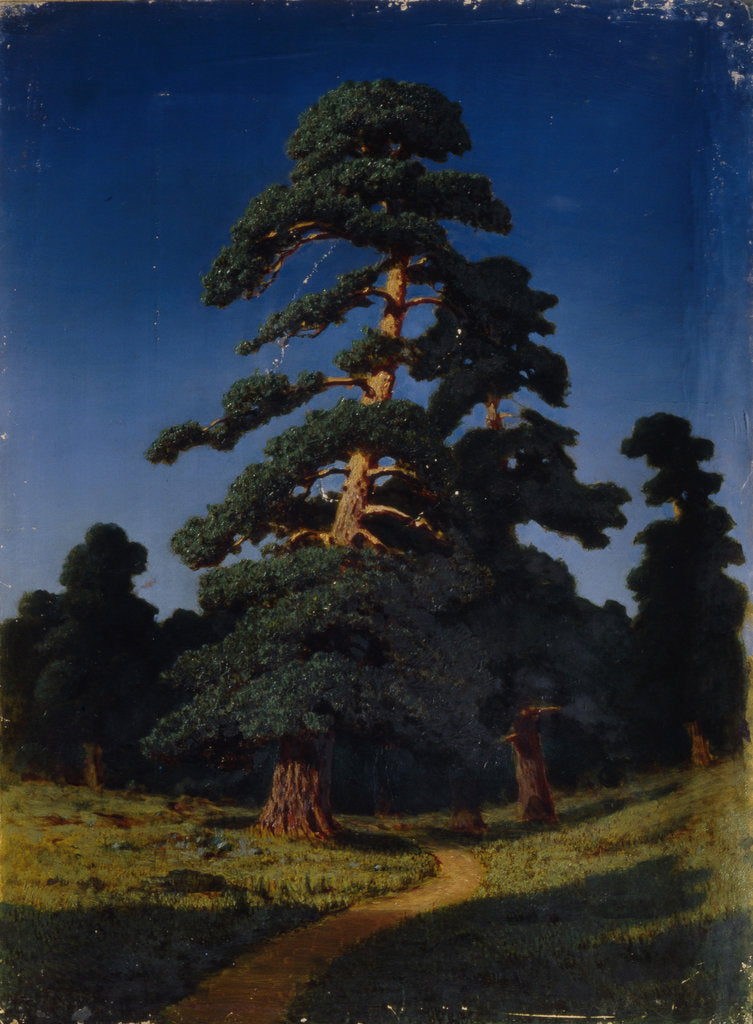 Detail of Pine Tree by Arkhip Ivanovich Kuindzhi