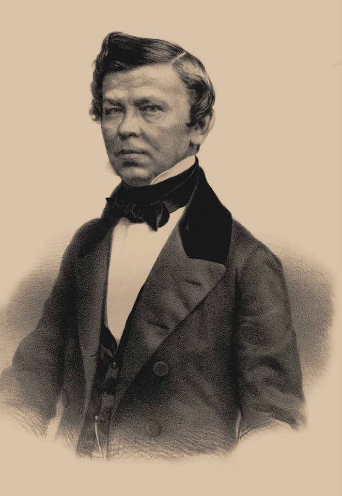 Detail of Portrait of the poet Vladimir Grigoryevich Benediktov, 1870 by Andrey Mikhaylovich Lushev