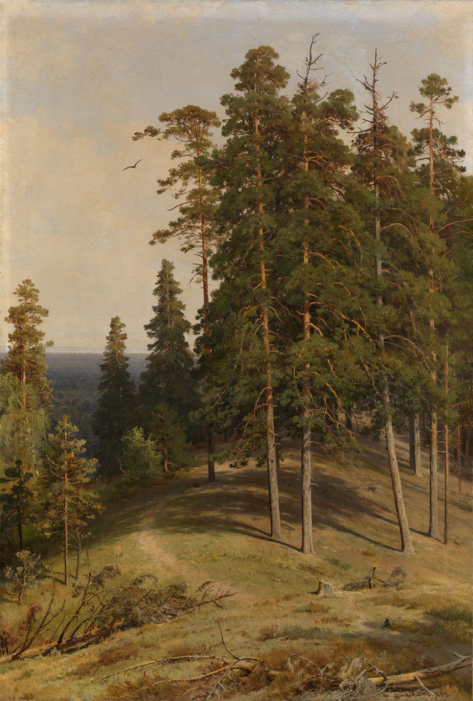 Detail of The Pine Forest, 1895 by Ivan Ivanovich Shishkin