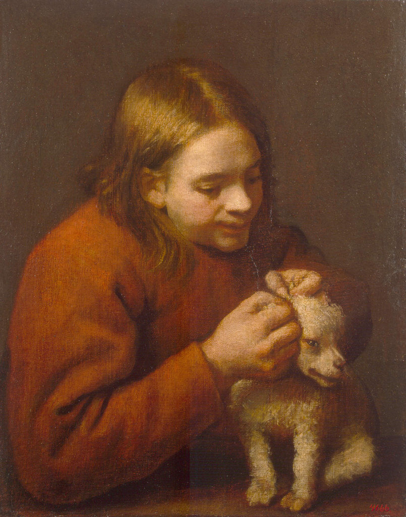 Detail of Boy Looking for Fleas on a Dog, 1650 by Pedro Nuñez de Villavicencio