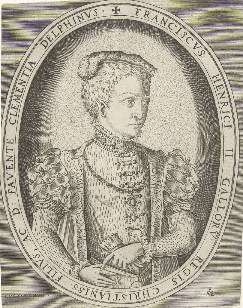 Detail of Portrait of Francis II of France by Pieter Heyden van der