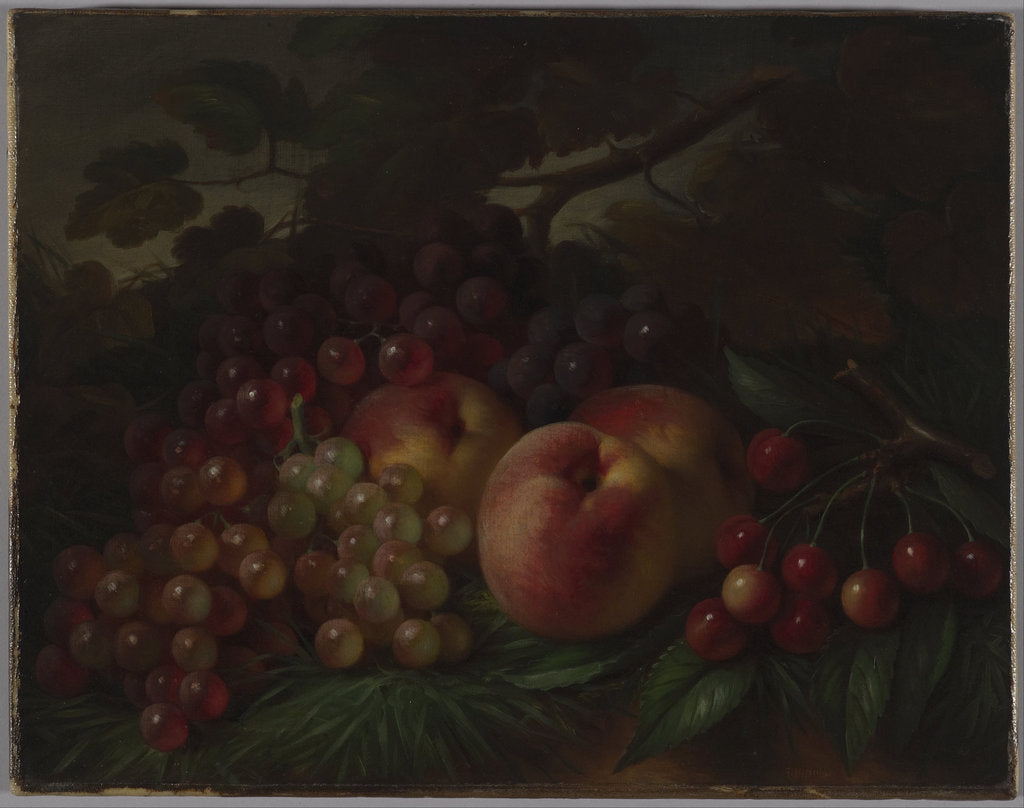 Detail of Peaches, Grapes and Cherries, ca 1860-1870 by George Henry Hall