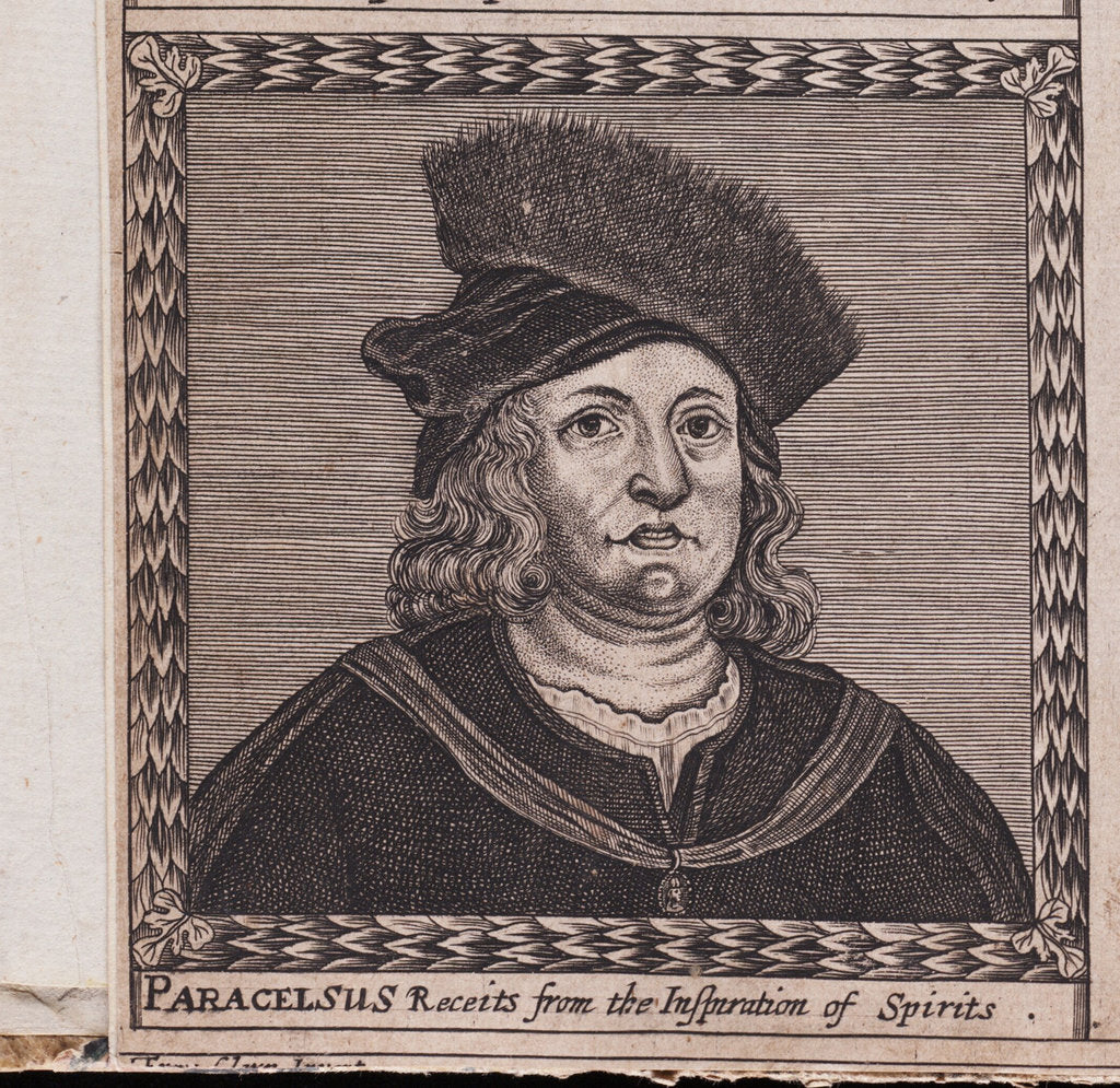 Detail of Paracelsus by Anonymous