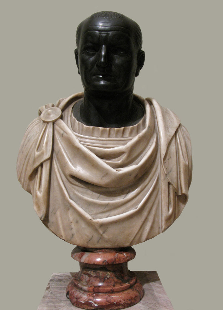 Detail of Bust of Vespasian, 1st H. 1st cen. AD by Classical sculpture Art of Ancient Rome