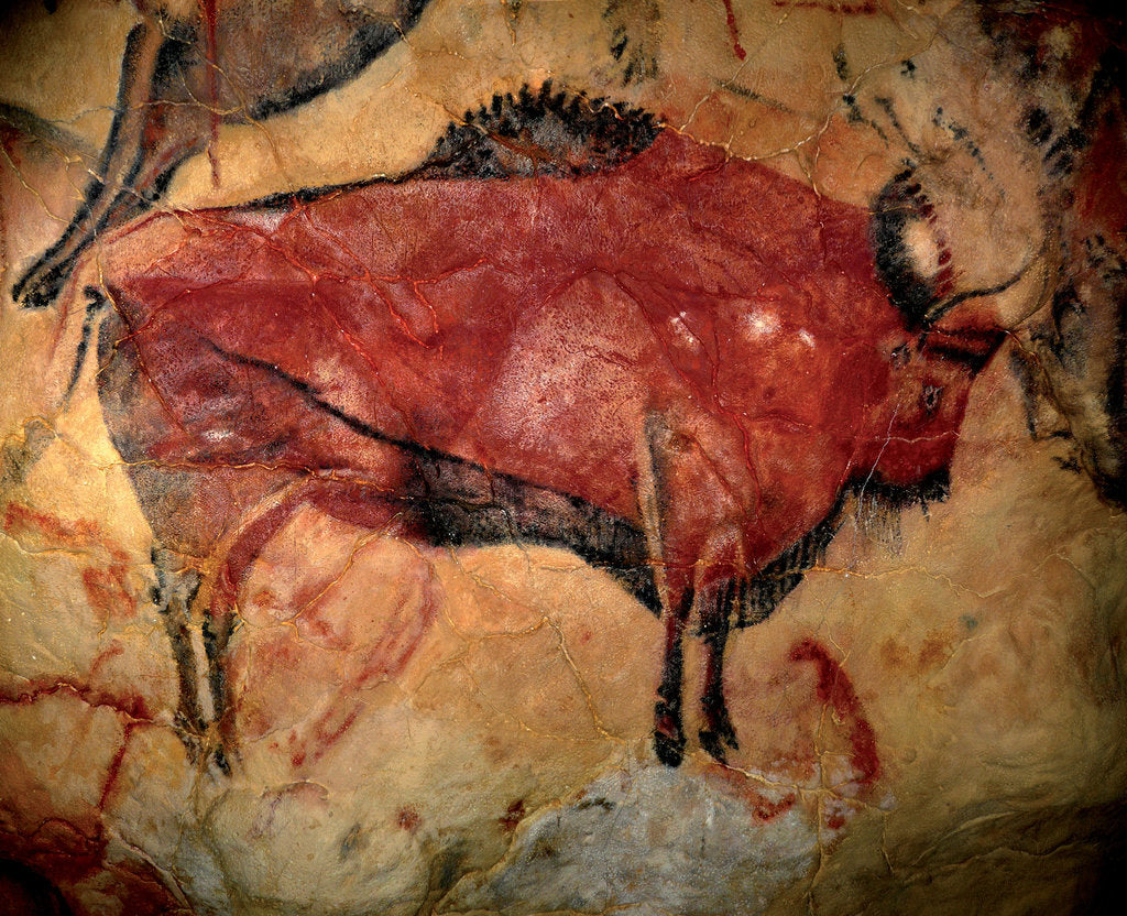Detail of Painting in the cave of Altamira, 35,000 to 11,000 BC by Art of the Upper Paleolithic