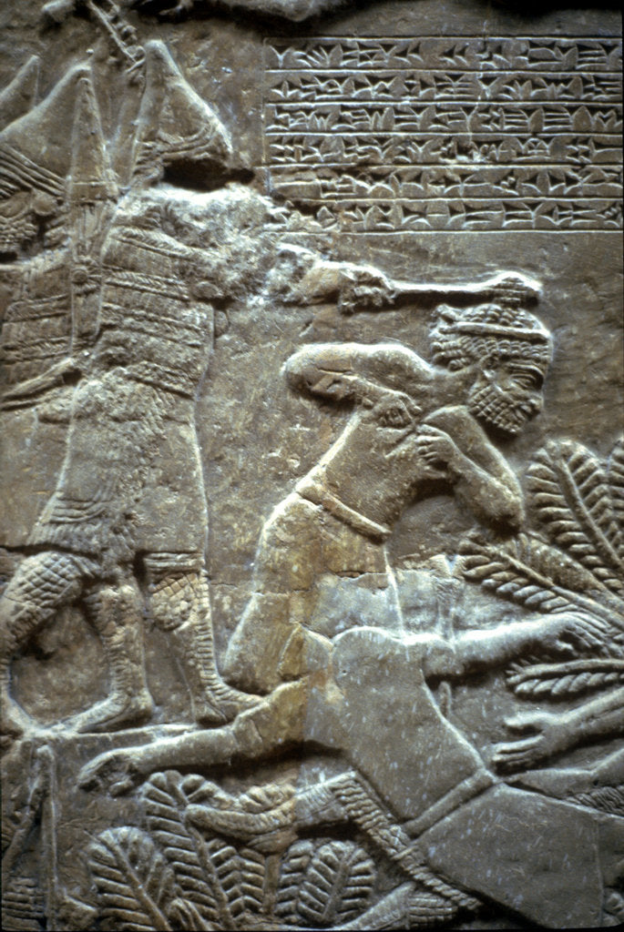 Detail of Ashurbanipal at the Battle of Til-Tuba, 650-620 BC by Assyrian Art