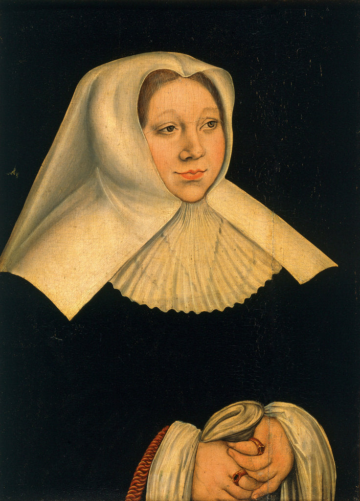 Detail of Portrait of Margaret of Austria, ca 1530 by Lucas Cranach the Elder