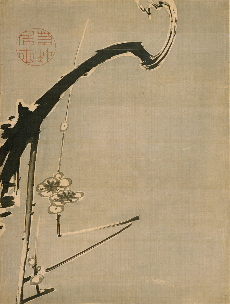 Detail of Plum Blossoms, 18th century by Ito Jakuchu