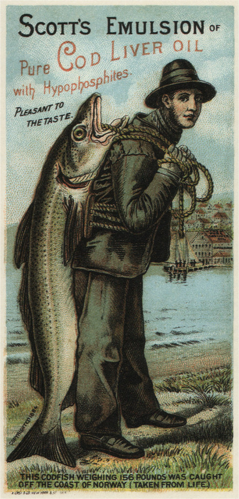 Detail of Scotts Emulsion, 1880 by August Gast