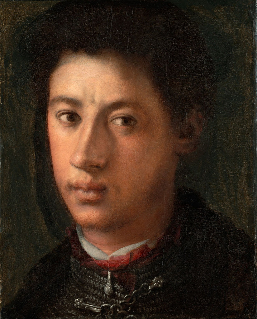 Detail of Portrait of Alessandro de Medici, 1534-1535 by Pontormo