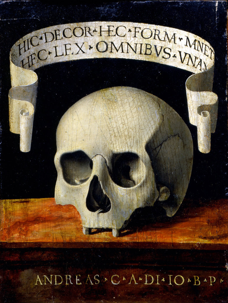 Detail of Memento Mori, Early16th cen by Andrea Previtali