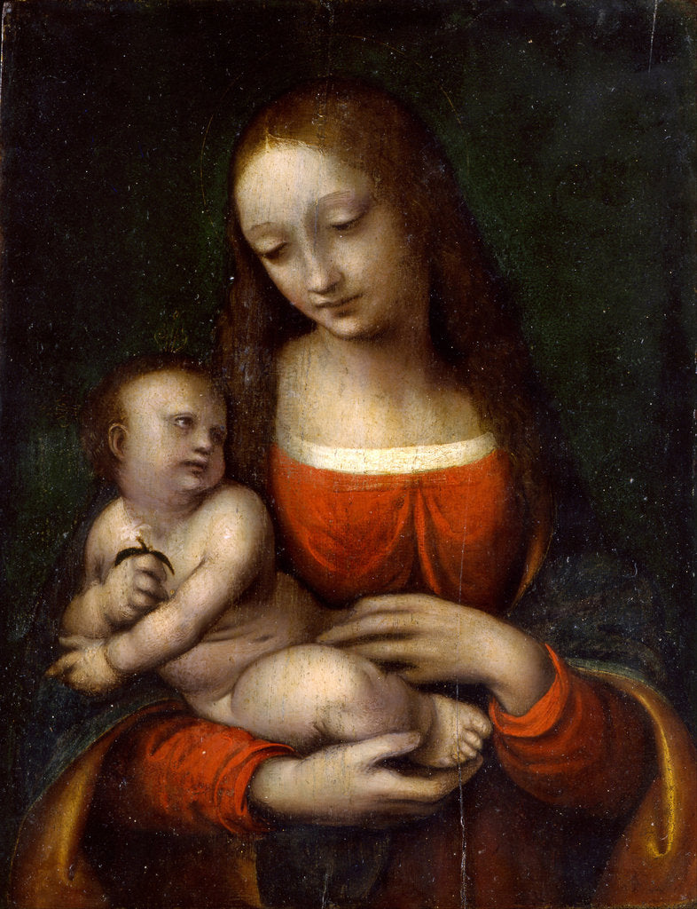 Detail of Virgin and Child, 1510-1515 by Giampietrino