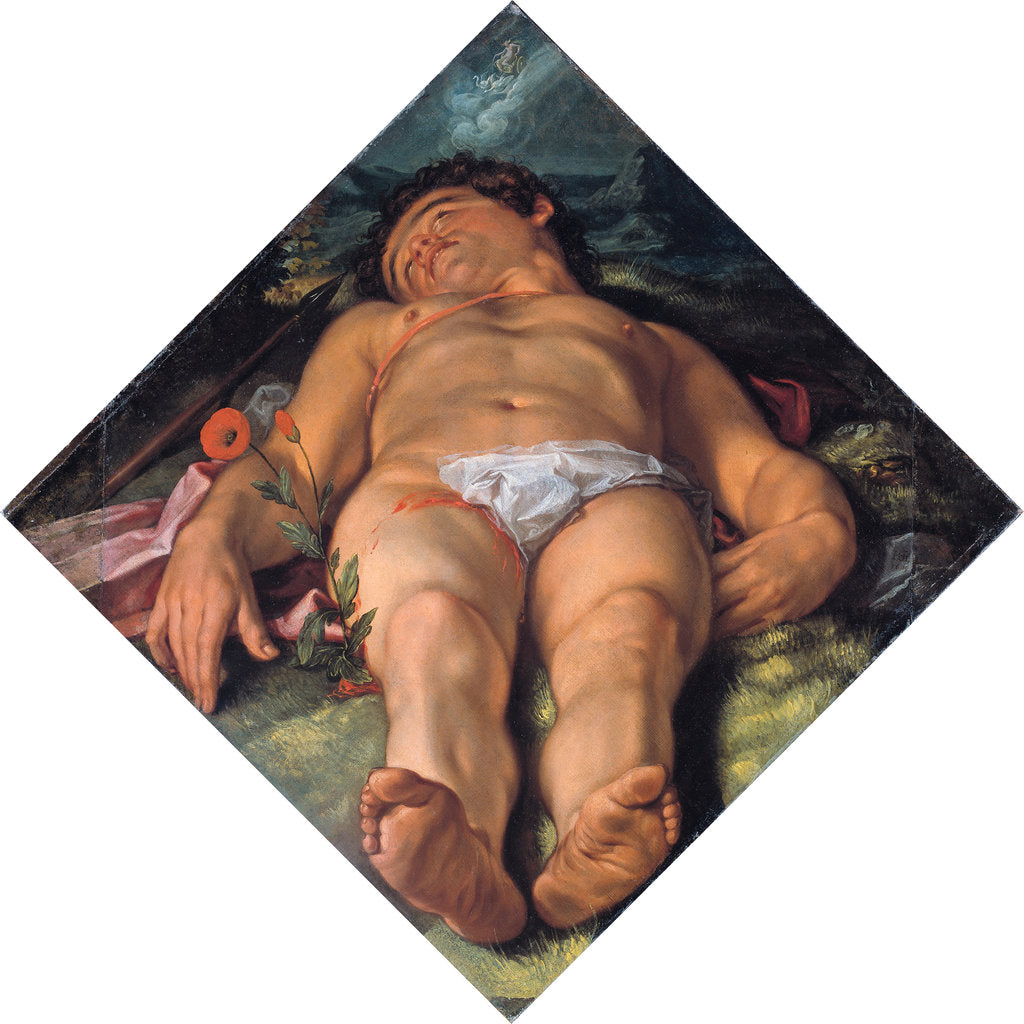 Detail of Dying Adonis, 1609 by Hendrick Goltzius