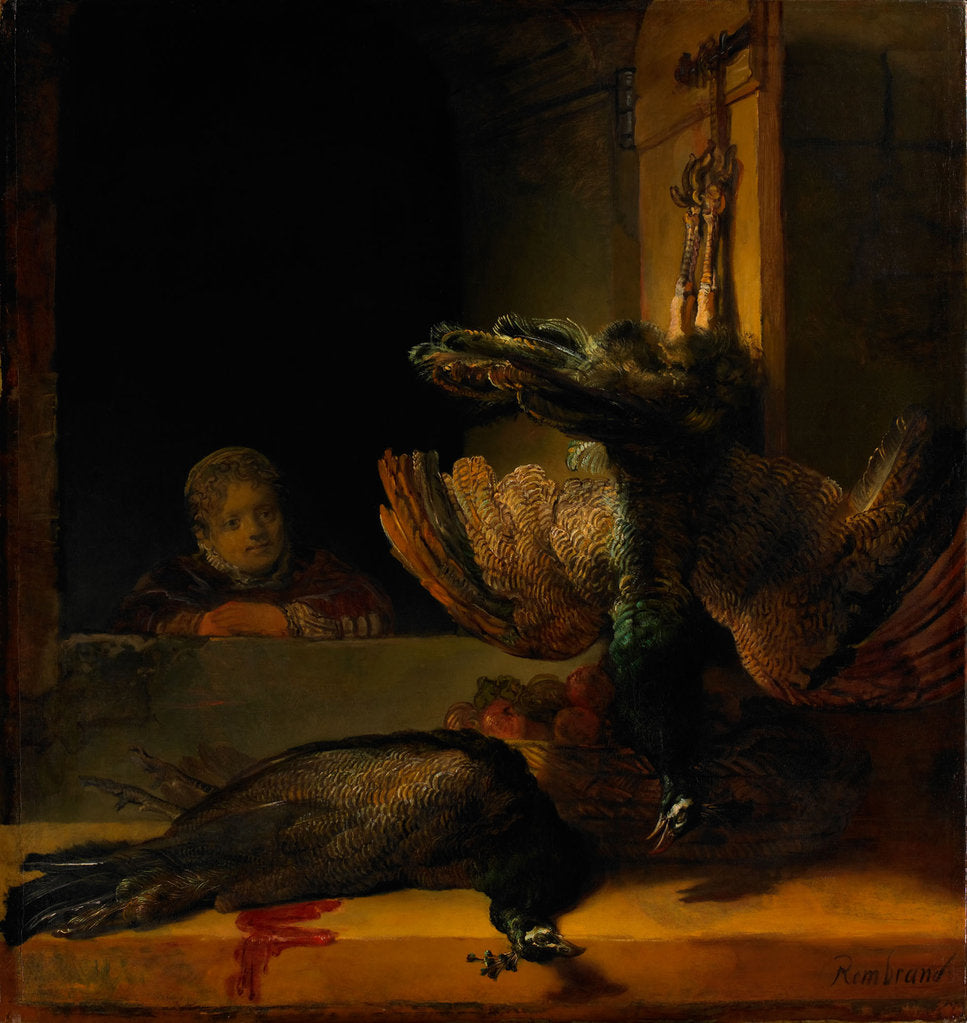 Detail of Still life with two Peacocks and a Girl, ca 1639 by Rembrandt van Rhijn