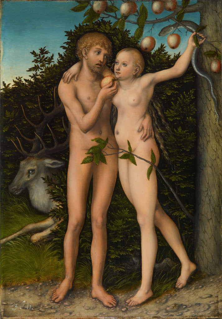 Detail of The Fall of Man, after 1537 by Lucas Cranach the Elder